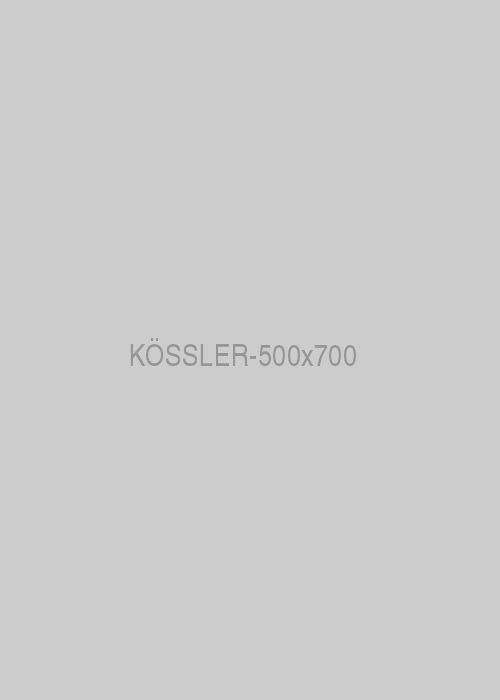 500x700